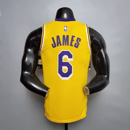 LeBron James Lakers