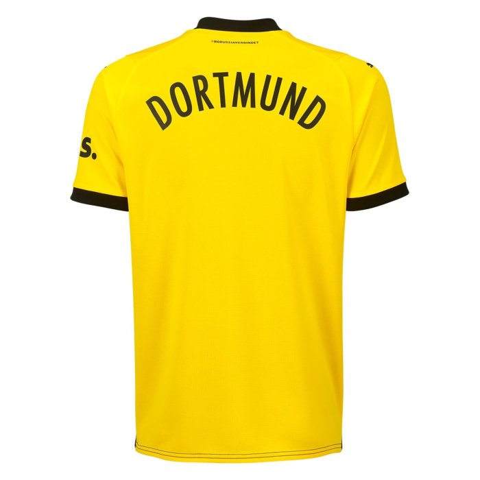 Borussia Dortmund 2023/24 Hemma